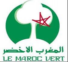 plan_maroc_vert1.jpg