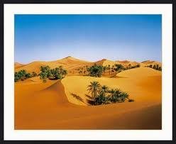 sahara_marocain1.jpg