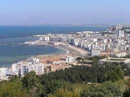 alger4.jpg