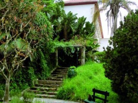 universite_skikda.jpg