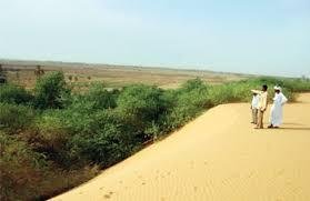 desertification_algerie1.jpg