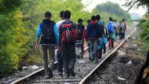 migrants_route.jpg