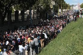migrants_2015.jpg