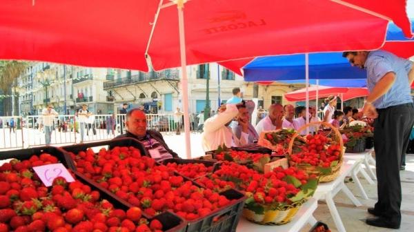 fraises_skikda.jpg